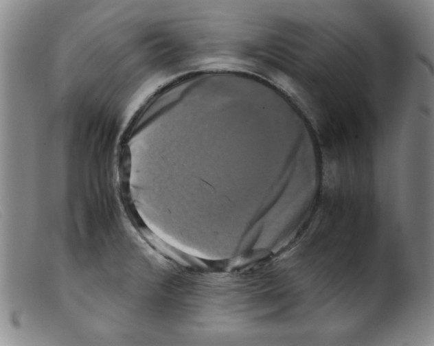 X0000098191376200805221507