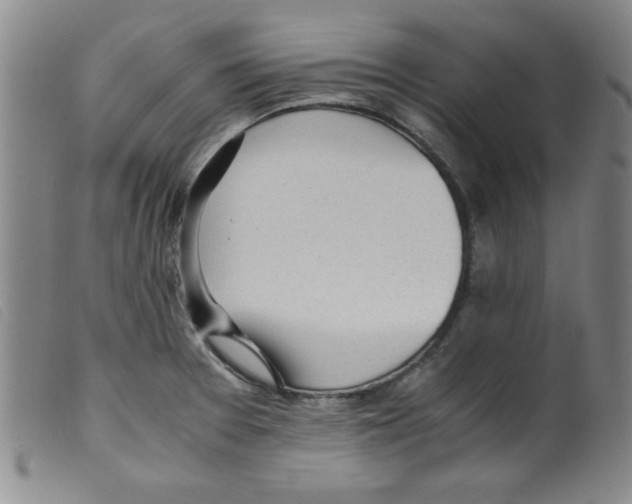 X0000098191377200805221507