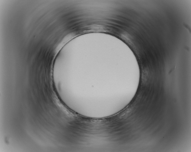 X0000098191378200805221507