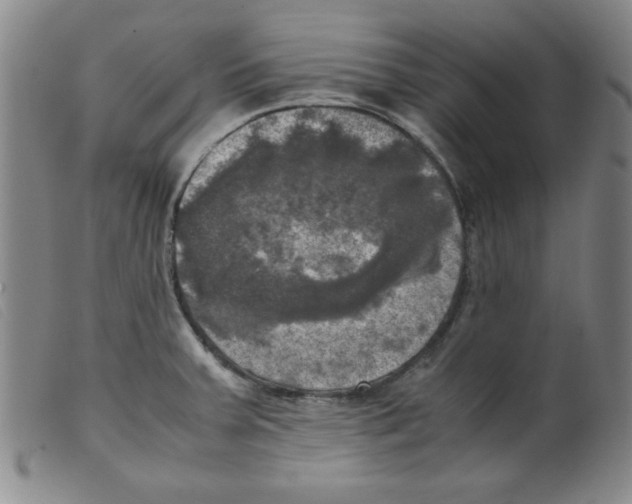 X0000098191379200805221507