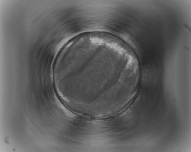 X0000098191380200805221507