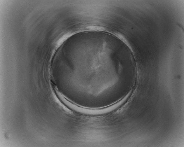 X0000098191381200805221507
