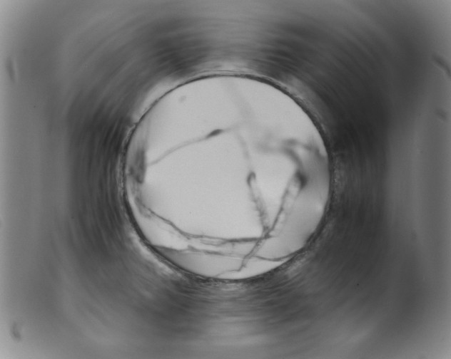 X0000098191382200805221507