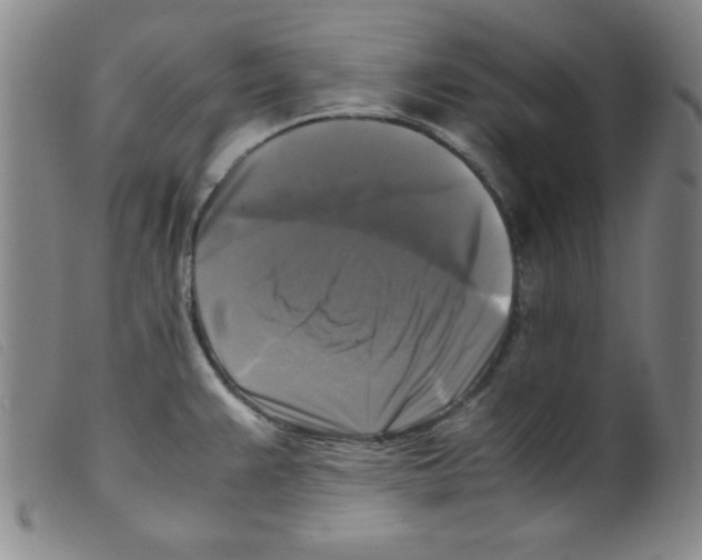X0000098191383200805221507