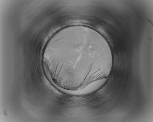 X0000098191384200805221507