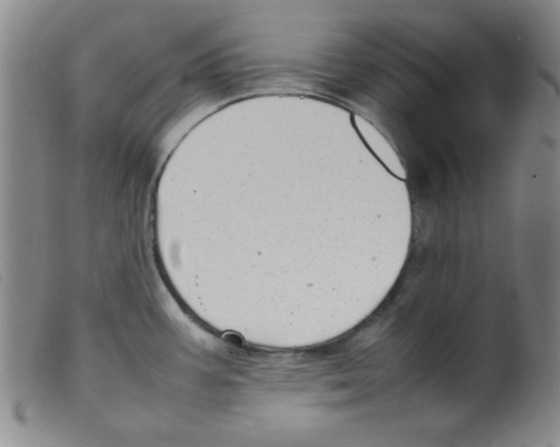 X0000098191387200805221506