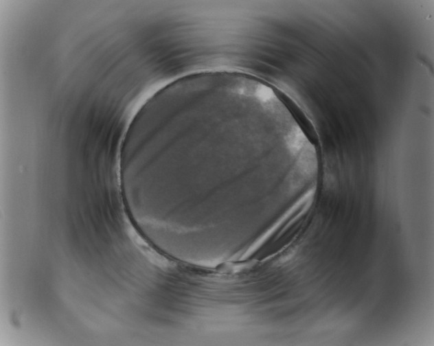 X0000098191388200805221506