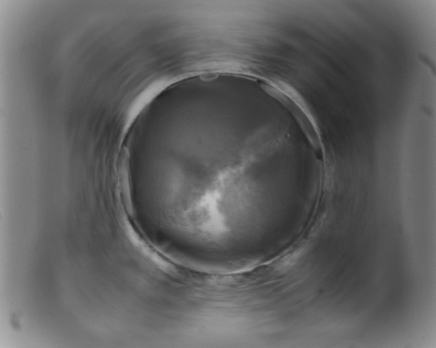 X0000098191389200805221506