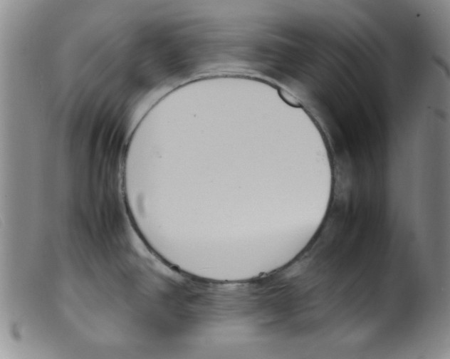 X0000098191390200805221506
