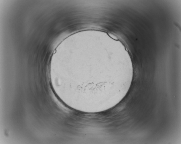 X0000098191391200805221506