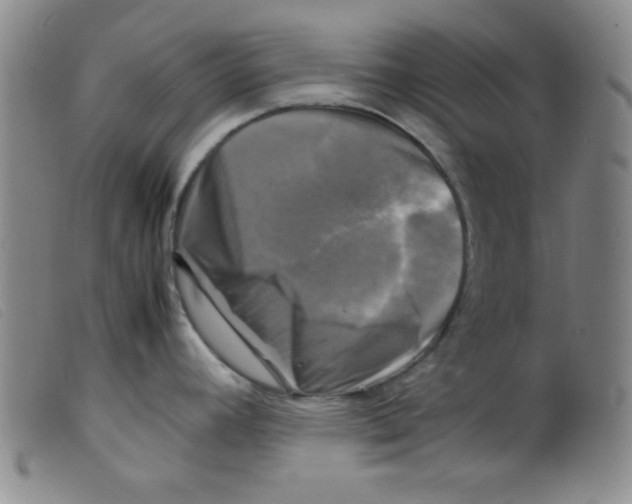 X0000098191392200805221506
