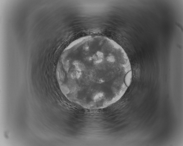 X0000098191393200805221506