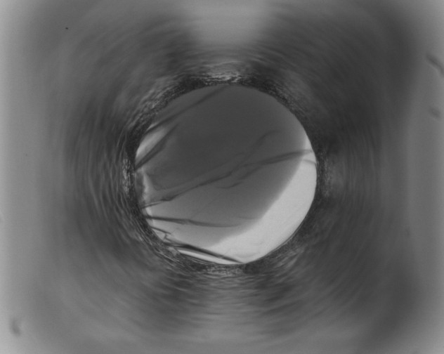 X0000098191394200805221506