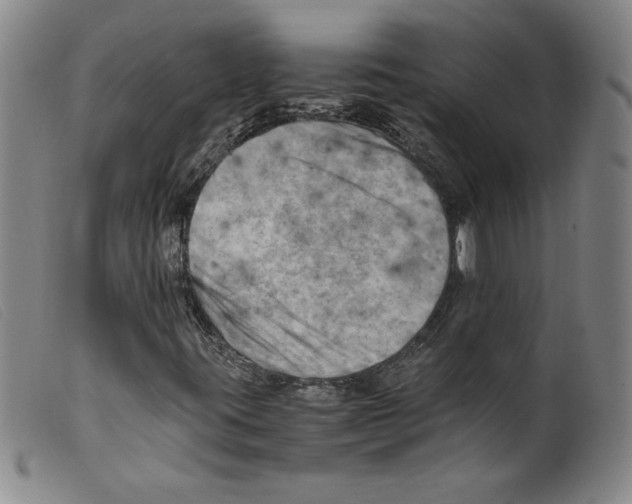 X0000098191395200805221506