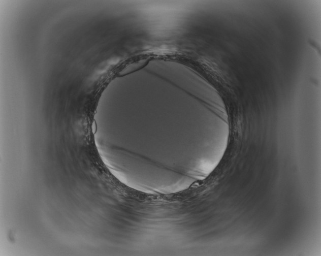 X0000098191398200805221506