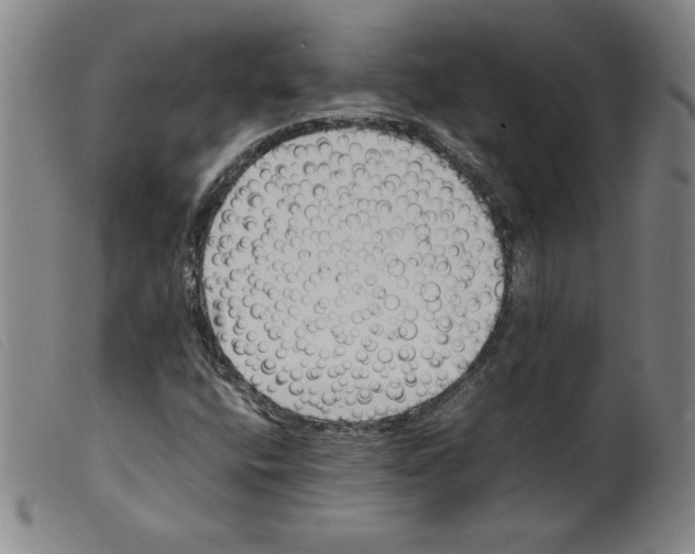 X0000098191400200805221506