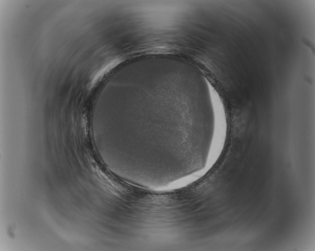 X0000098191402200805221506