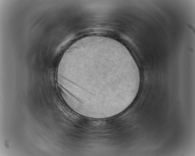 X0000098191403200805221506