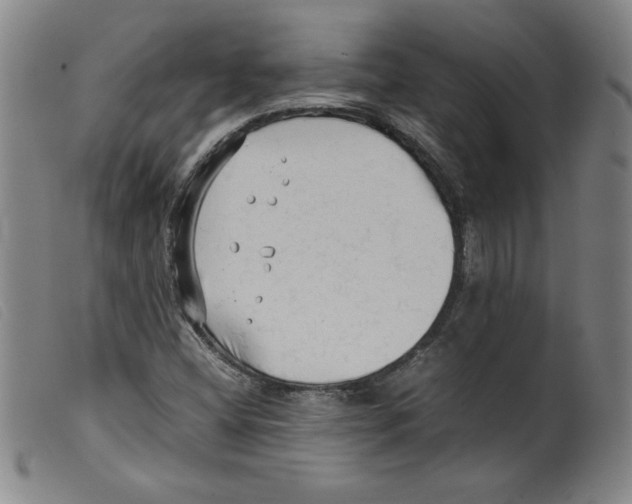 X0000098191404200805221506