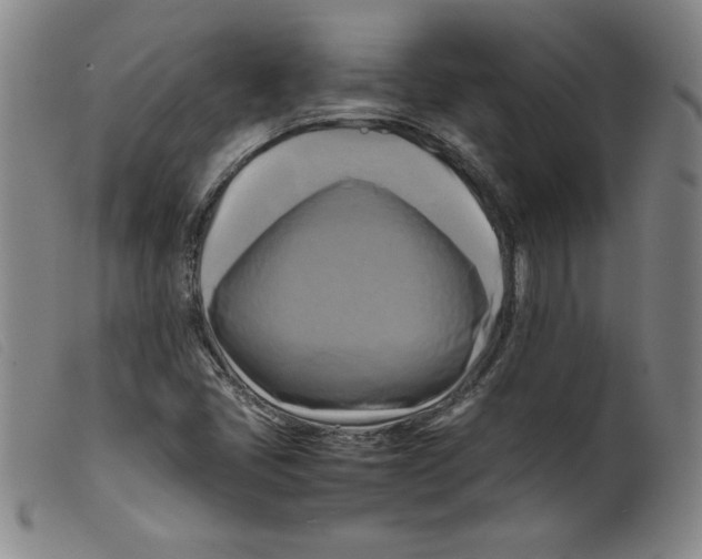 X0000098191405200805221506
