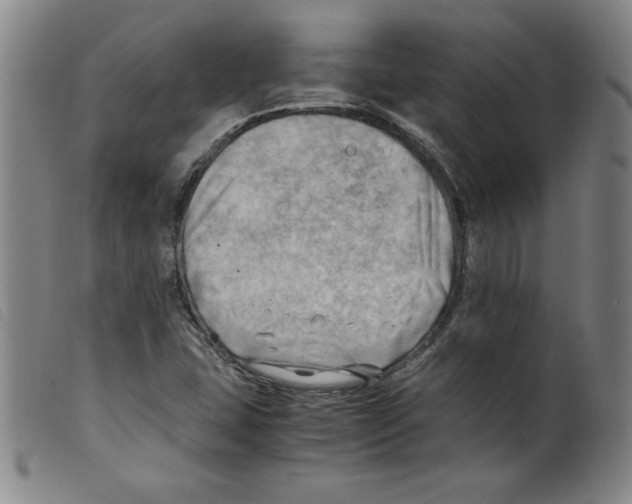 X0000098191407200805221506