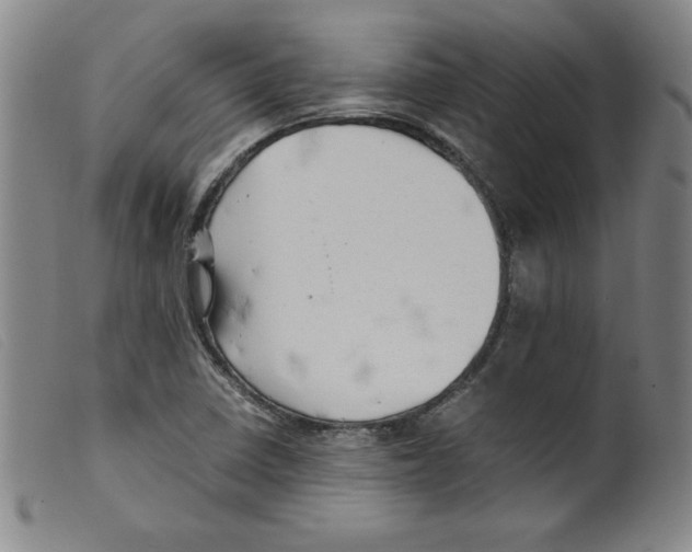 X0000098191410200805221506