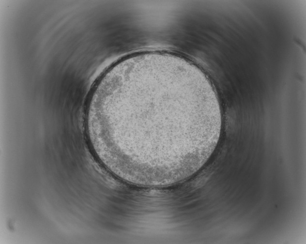 X0000098191412200805221506