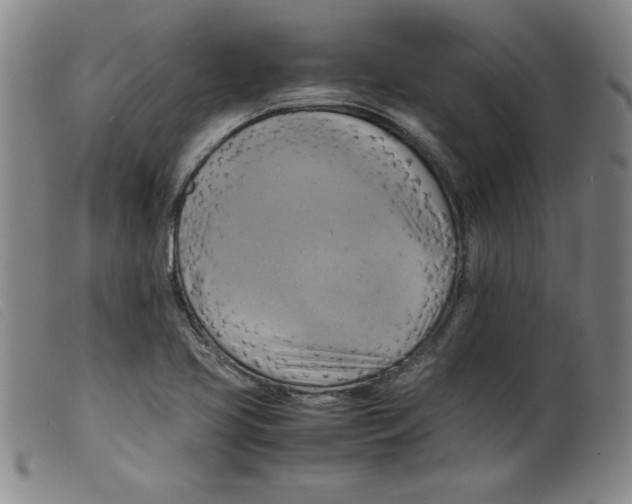 X0000098191413200805221506