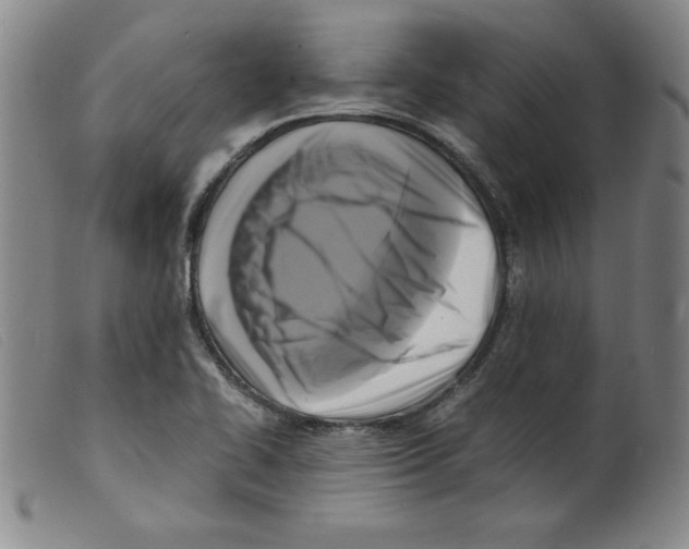 X0000098191414200805221506
