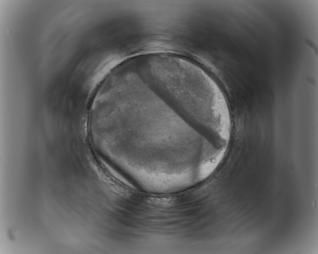 X0000098191415200805221506