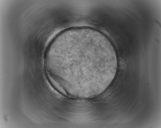 X0000098191416200805221506
