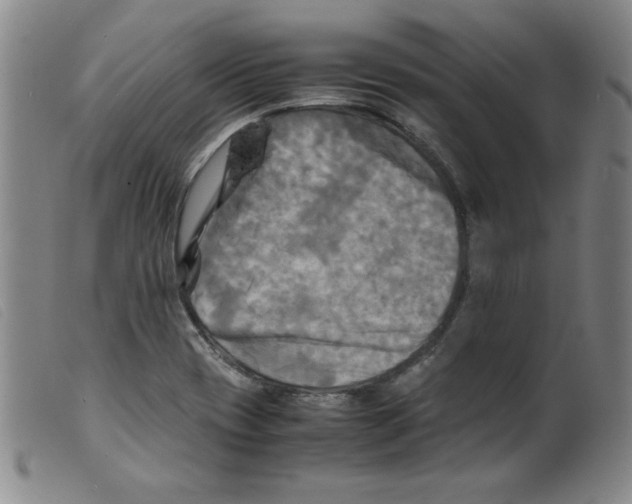 X0000098191417200805221506