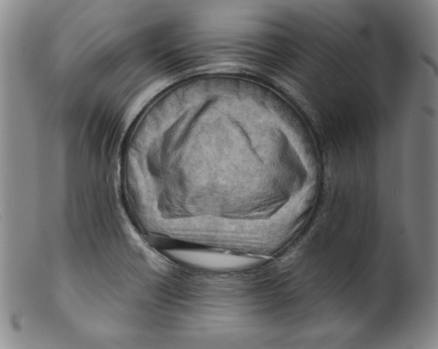X0000098191418200805221506