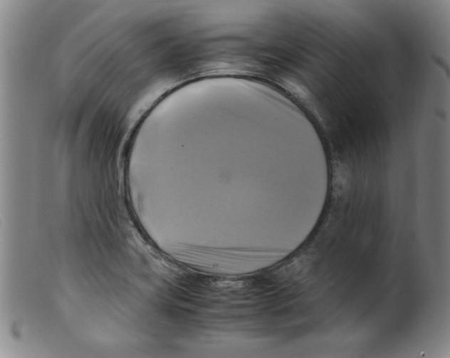 X0000098191419200805221506