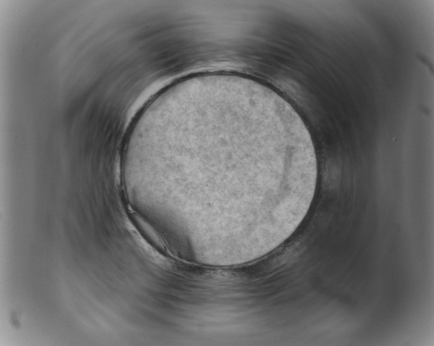 X0000098191420200805221506