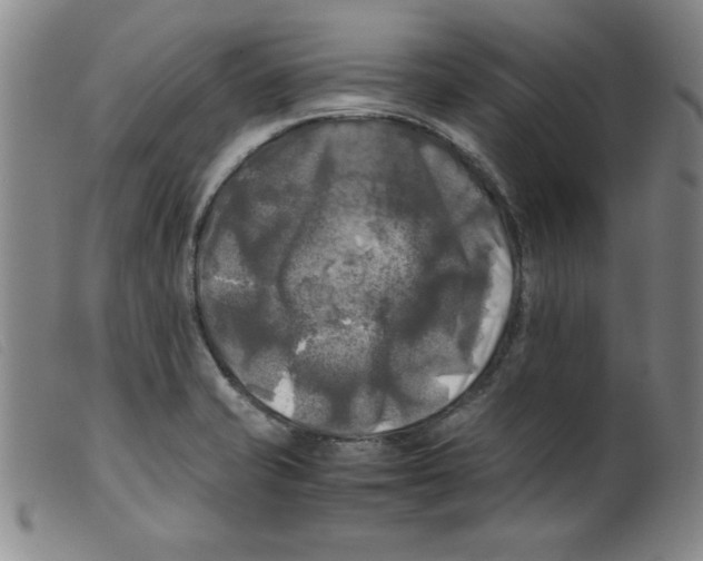 X0000098191421200805221506
