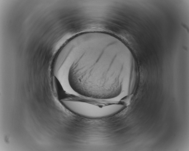 X0000098191422200805221506