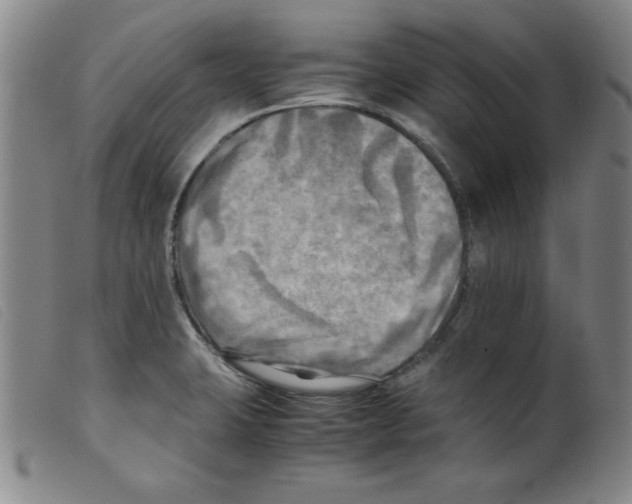X0000098191423200805221506