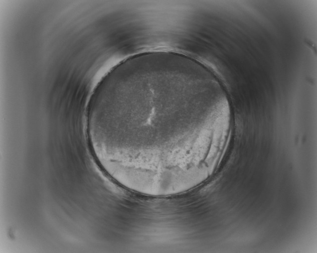 X0000098191424200805221506