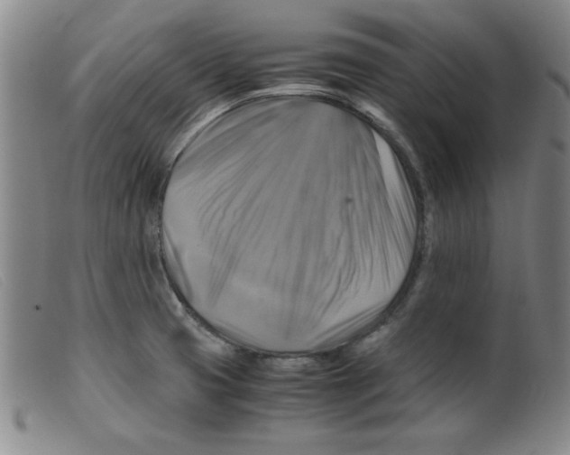 X0000098191425200805221506