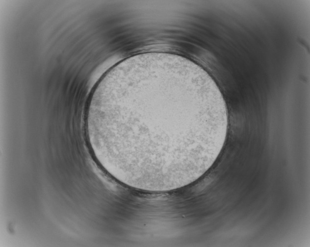 X0000098191426200805221506