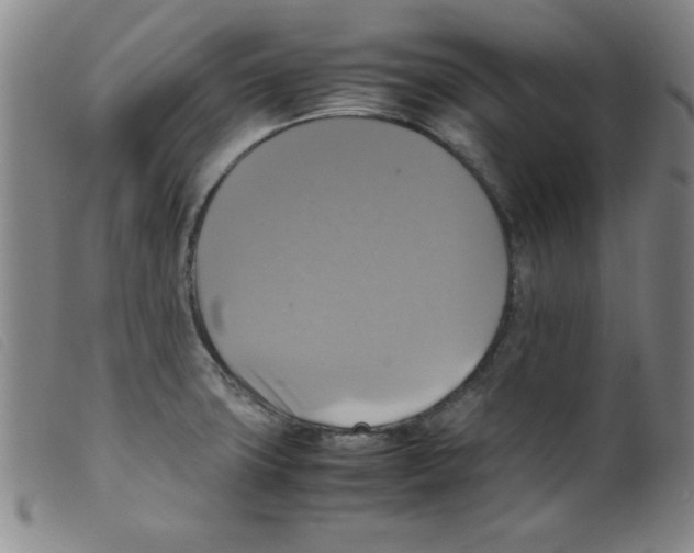 X0000098191427200805221506