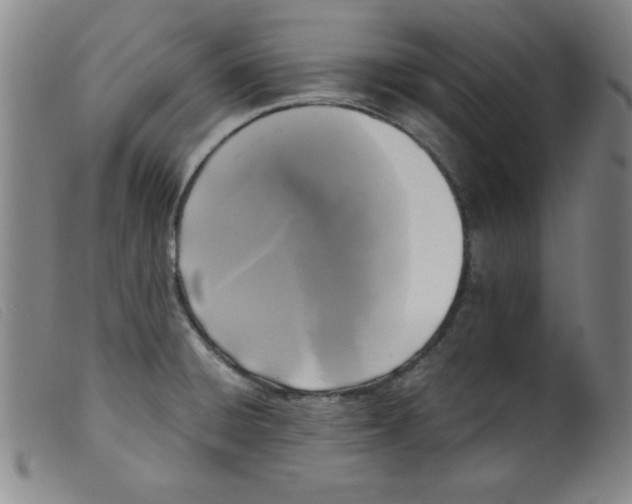 X0000098191428200805221506