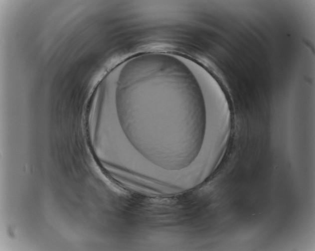 X0000098191429200805221506