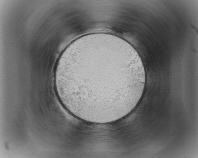 X0000098191430200805221506