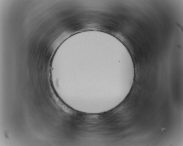 X0000098191431200805221506