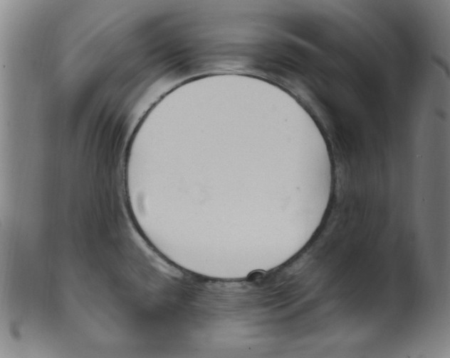 X0000098191432200805221506