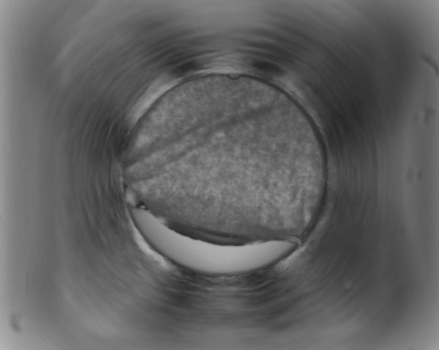 X0000098191433200805221506