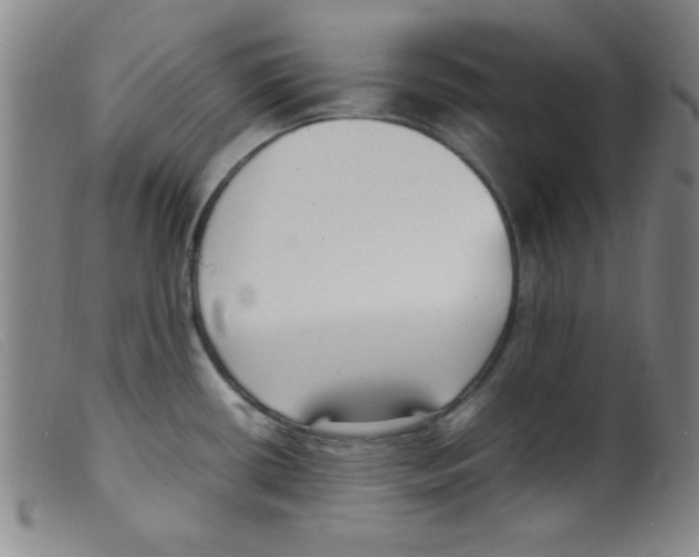 X0000098191434200805221506