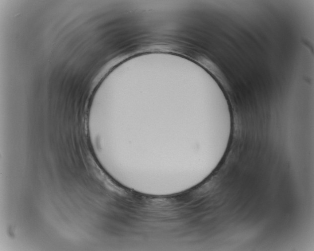 X0000098191436200805221506